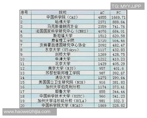 权威发布：全球排球实力榜单揭晓各国队伍排名一览