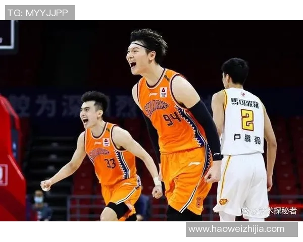 深圳羽毛球队逆袭之路:创新与反击的精彩篇章 深圳羽毛球队逆袭之路:创新与反击的精彩篇章