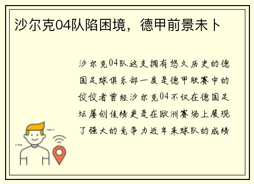 沙尔克04队陷困境，德甲前景未卜