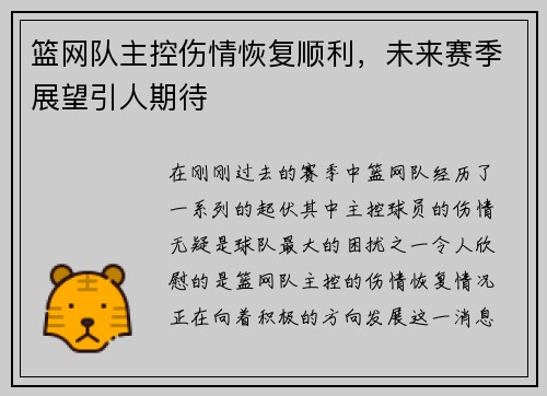 篮网队主控伤情恢复顺利，未来赛季展望引人期待